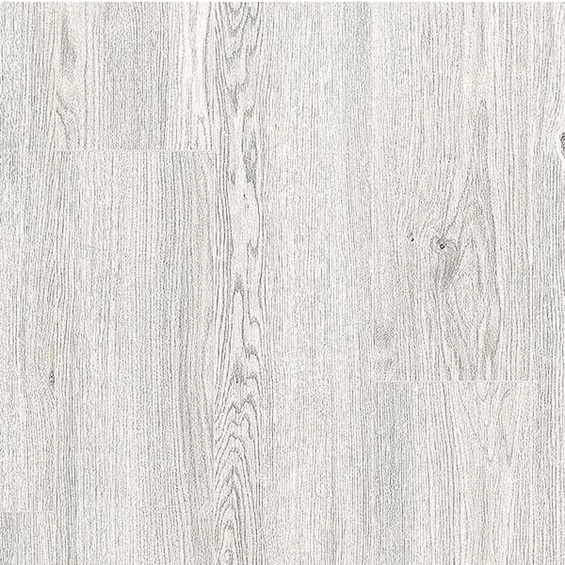 Laminate Cadenza 1003 8mm