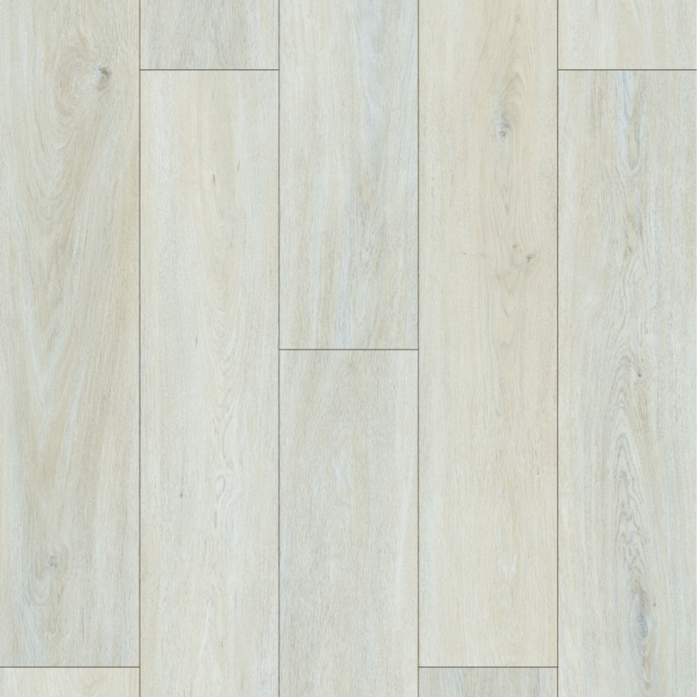 ΚΟΥΜΠΩΤΗ ΒΙΝΥΛΙΚΗ ΛΩΡΙΔΑ EVOLUTION SPC 1192-12