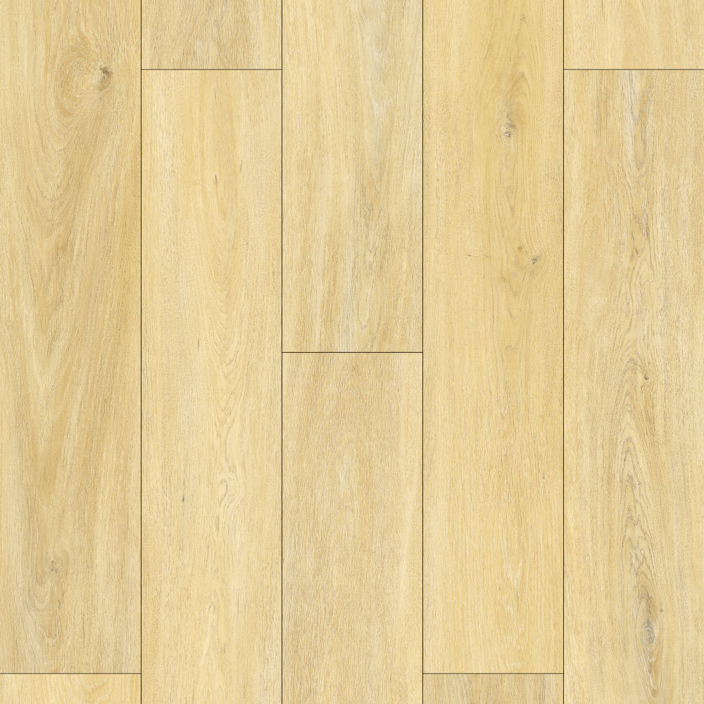 ΚΟΥΜΠΩΤΗ ΒΙΝΥΛΙΚΗ ΛΩΡΙΔΑ EVOLUTION SPC 1192-13