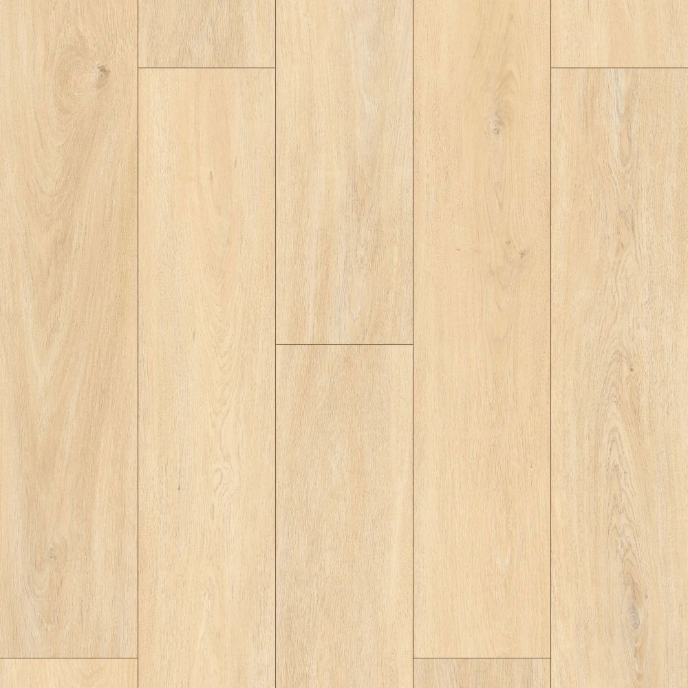 ΚΟΥΜΠΩΤΗ ΒΙΝΥΛΙΚΗ ΛΩΡΙΔΑ EVOLUTION SPC 1192-33