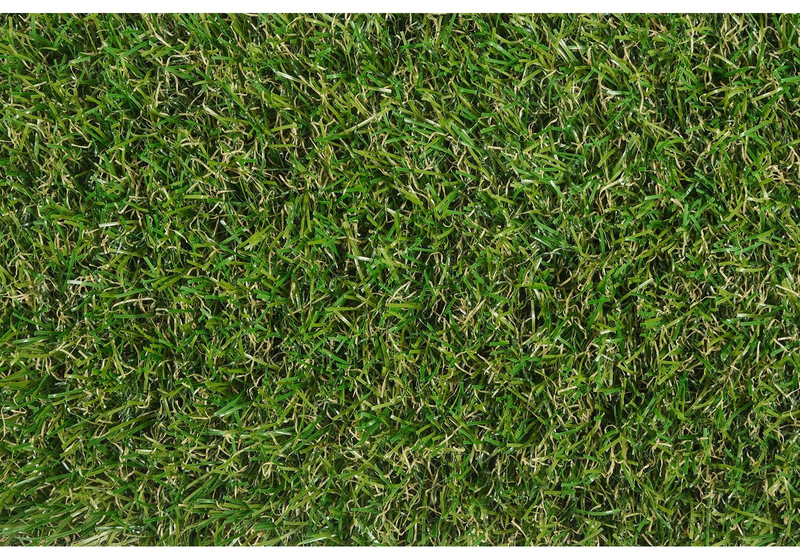 ΣΥΝΘΕΤΙΚΟΣ ΧΛΟΟΤΑΠΗΤΑΣ QUEENS