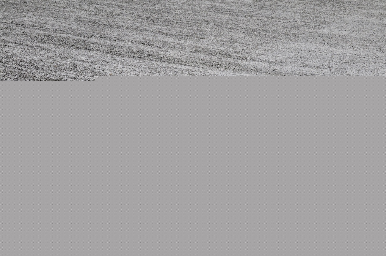 PARMA 133X190 ΤΑΠ. Ρ.Ρ. 