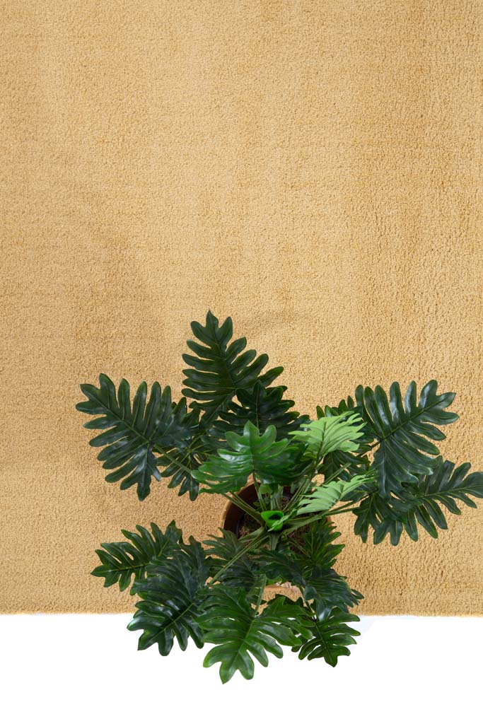 Χαλί Lilly 301 080   - 240 x 340 cm